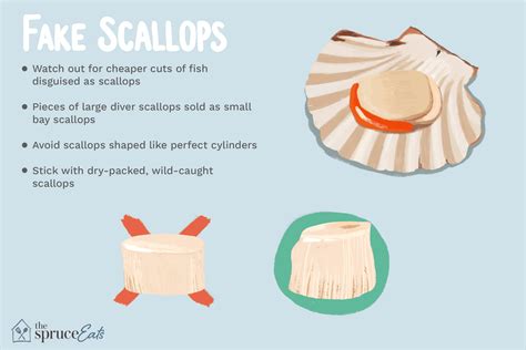 what are imitation scallops made out of